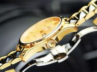 焕新时光：劳力士手表机芯防锈秘籍大揭秘